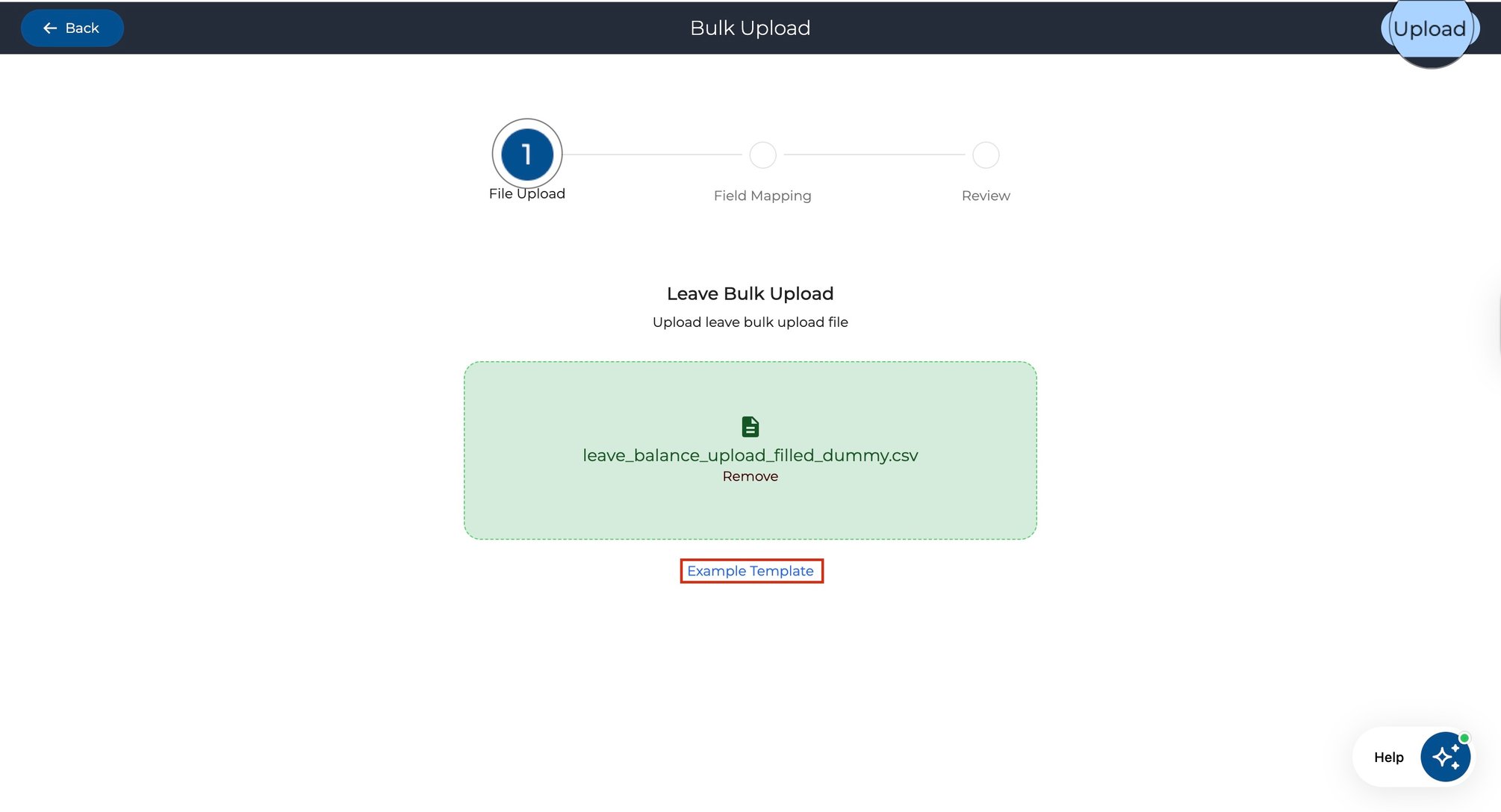 How to Upload Leave Balances (Bulk CSV)